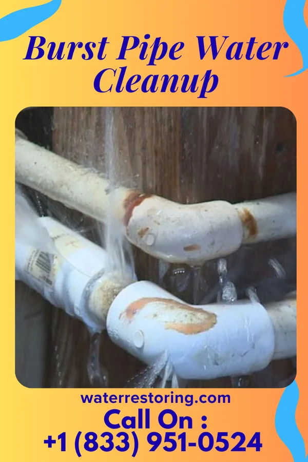 Burst Pipe Water Cleanup in Waller, WA