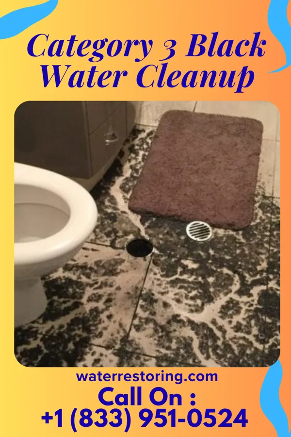 Category 3 Black Water Cleanup in Waller, WA